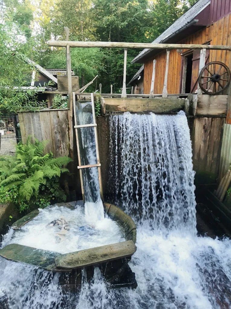 Moara Lui Mecles — Borșa