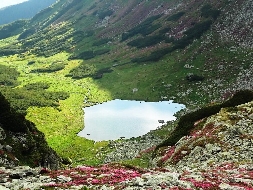 Lacul Iezer - 2