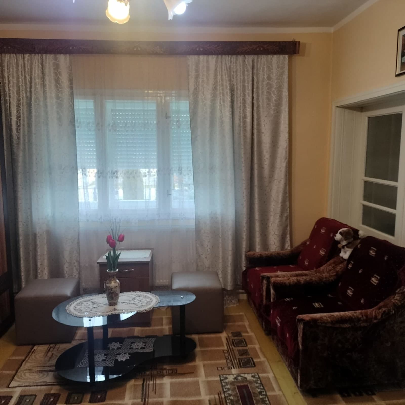 Casa Tudor-Nicolae - 6