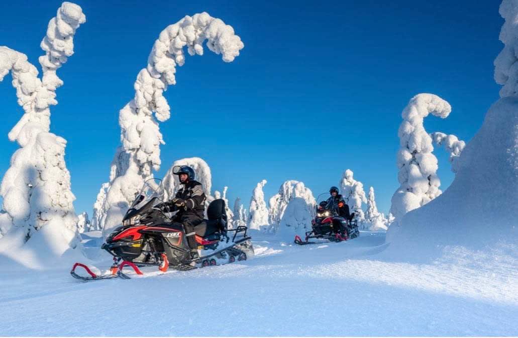 X-Treme Rentals Borșa - 1